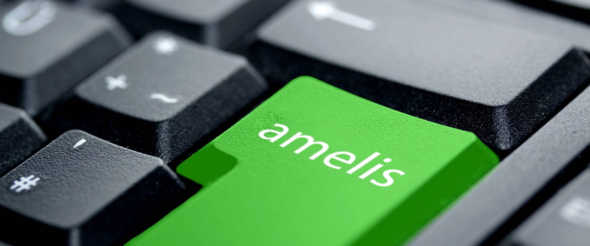 amelis Amedes Group