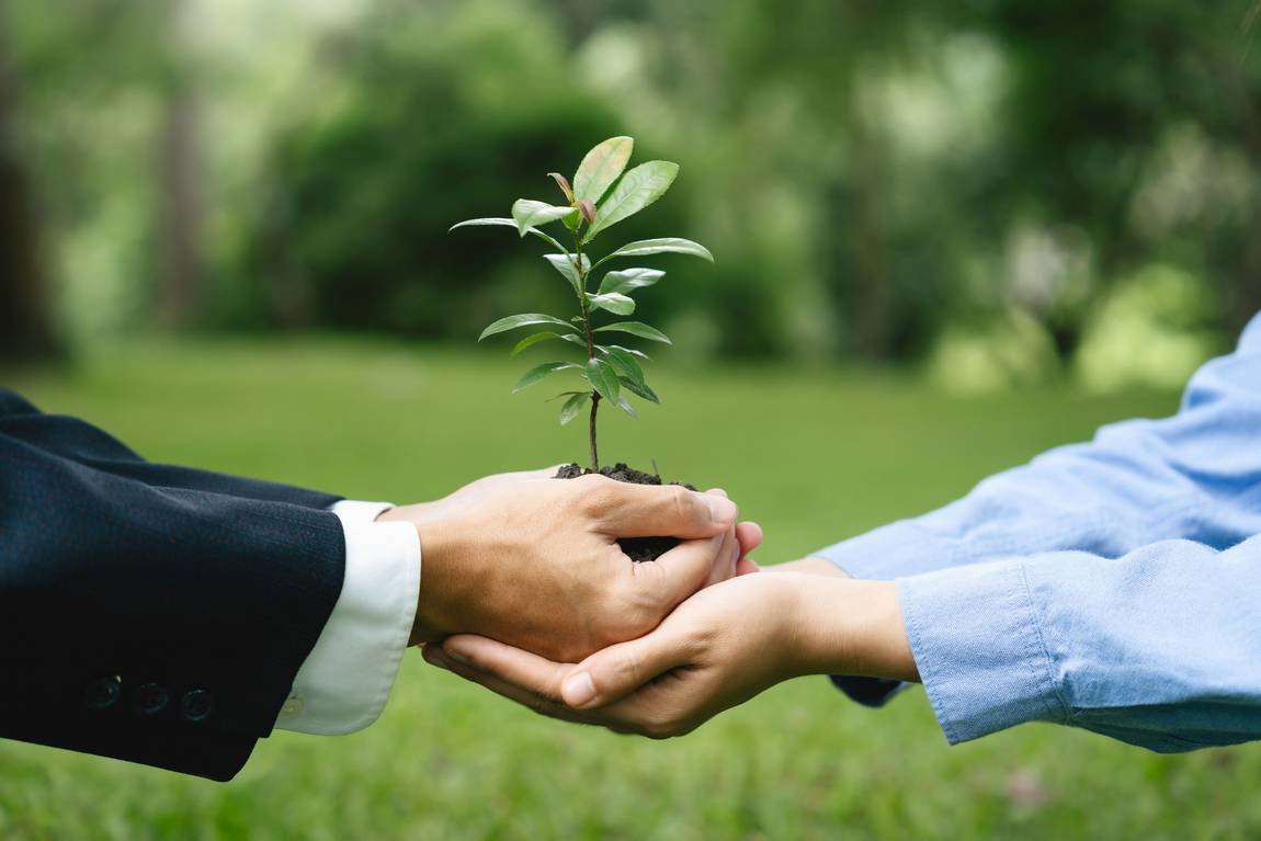 Zwei Personen halten eine kleine Pflanze zusammen und halten die Erde in ihren Händen. Eine Person trägt einen Anzug, die andere ein blaues Hemd. Grüner, unscharfer Naturhintergrund.